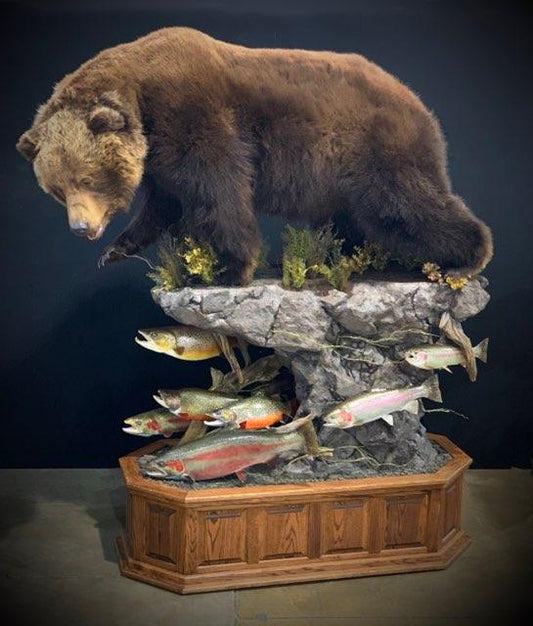 Taxidermy - 30