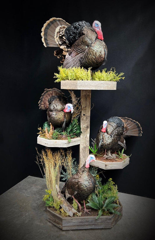 Taxidermy - 12