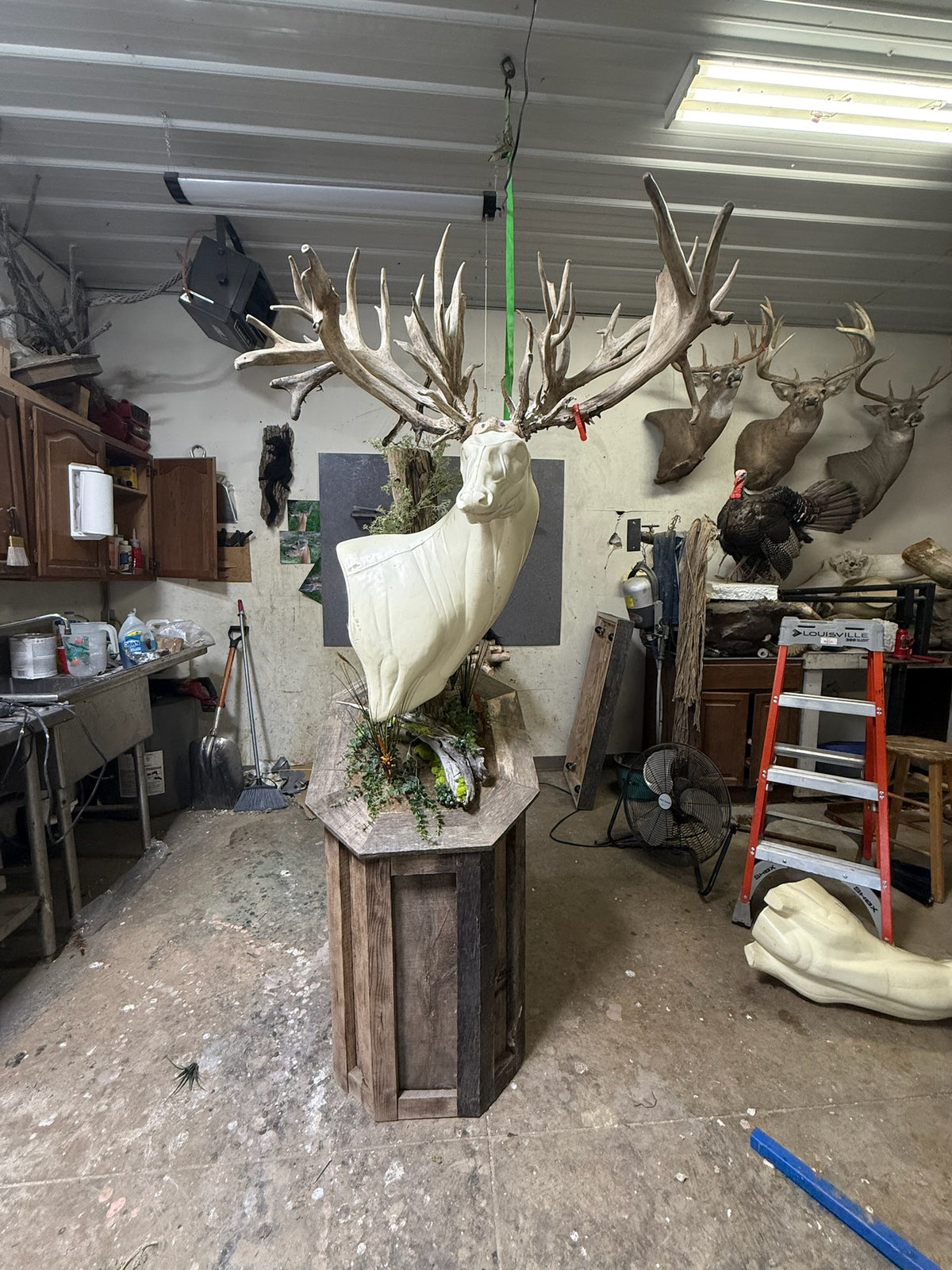Barnwood - 66